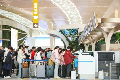 廣東故事匯 春運(yùn)39天，白云機(jī)場(chǎng)客流何以破千萬(wàn)？——商務(wù)信息咨詢視角下的深度解析